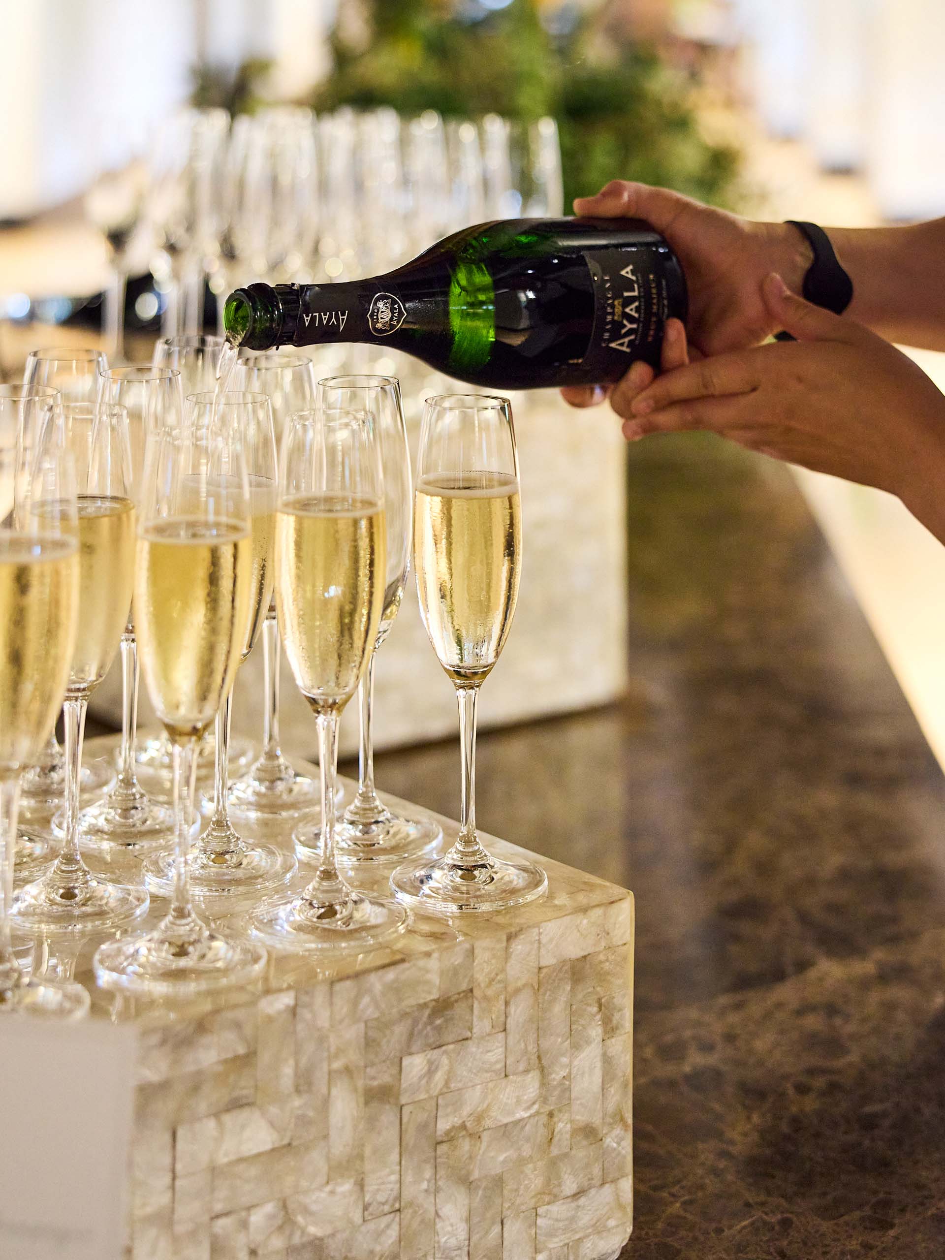 the-brain-prize-2024-1920x2560_0004_BrainPrize_30-5-2023_69674