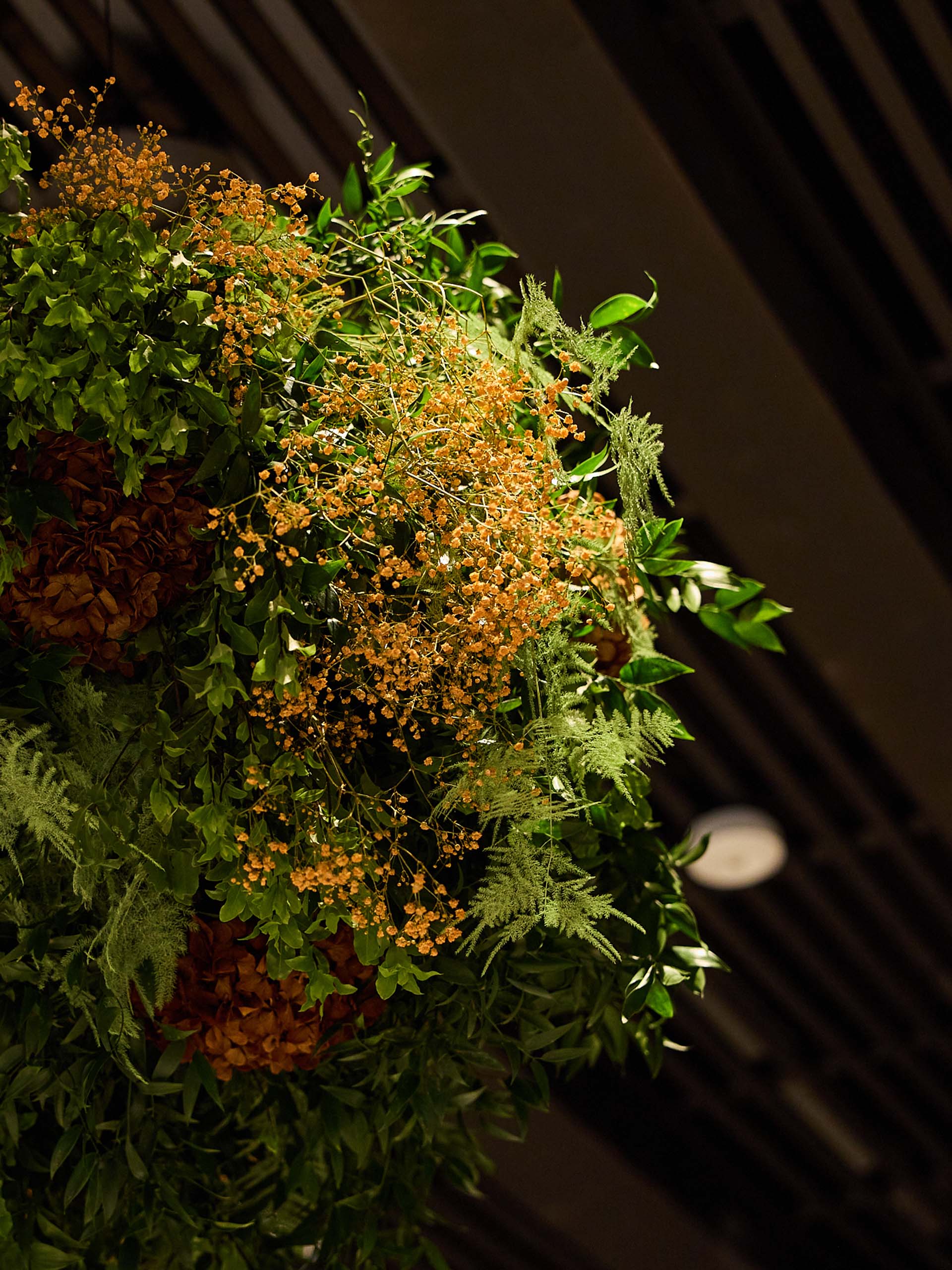 the-brain-prize-2024-1920x2560_0014_BrainPrize_30-5-2023_69323