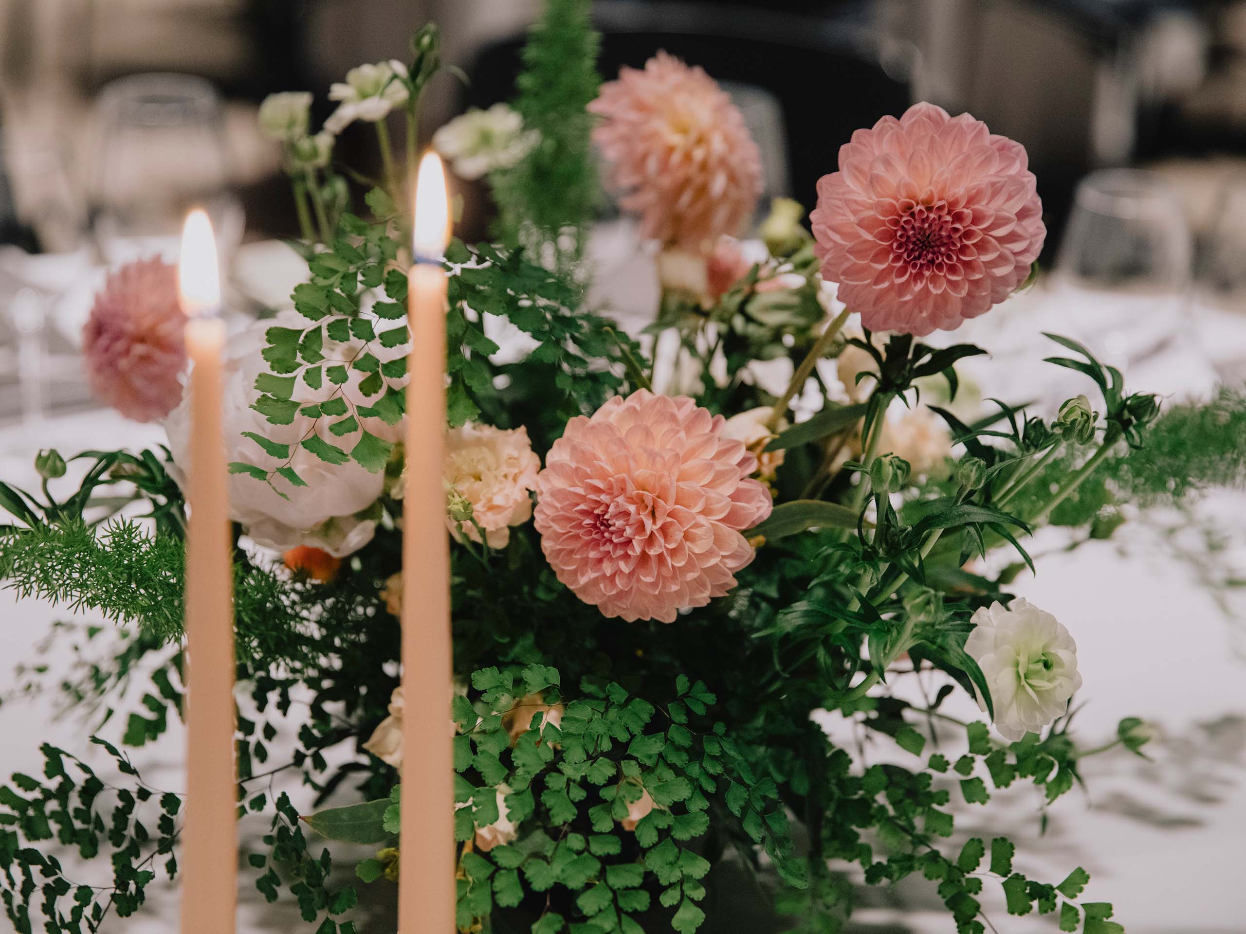 the-brain-prize-2025-2560x1920_0004_2025_05_28_Monkfish_Brainprize_049