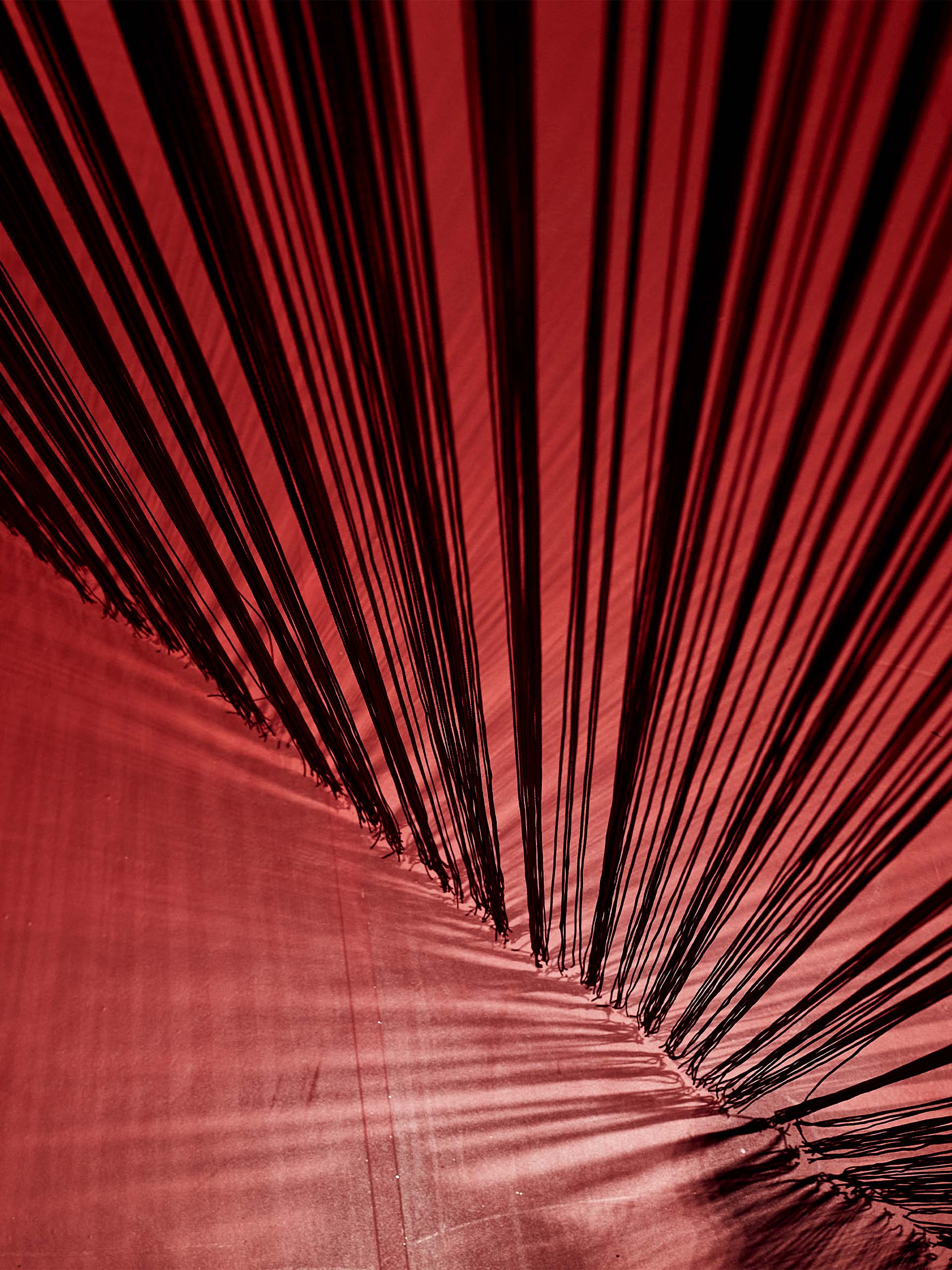 wunderman-thompson-1920x2560_0001_2023_11_17_MonkFish_Villa_107_High