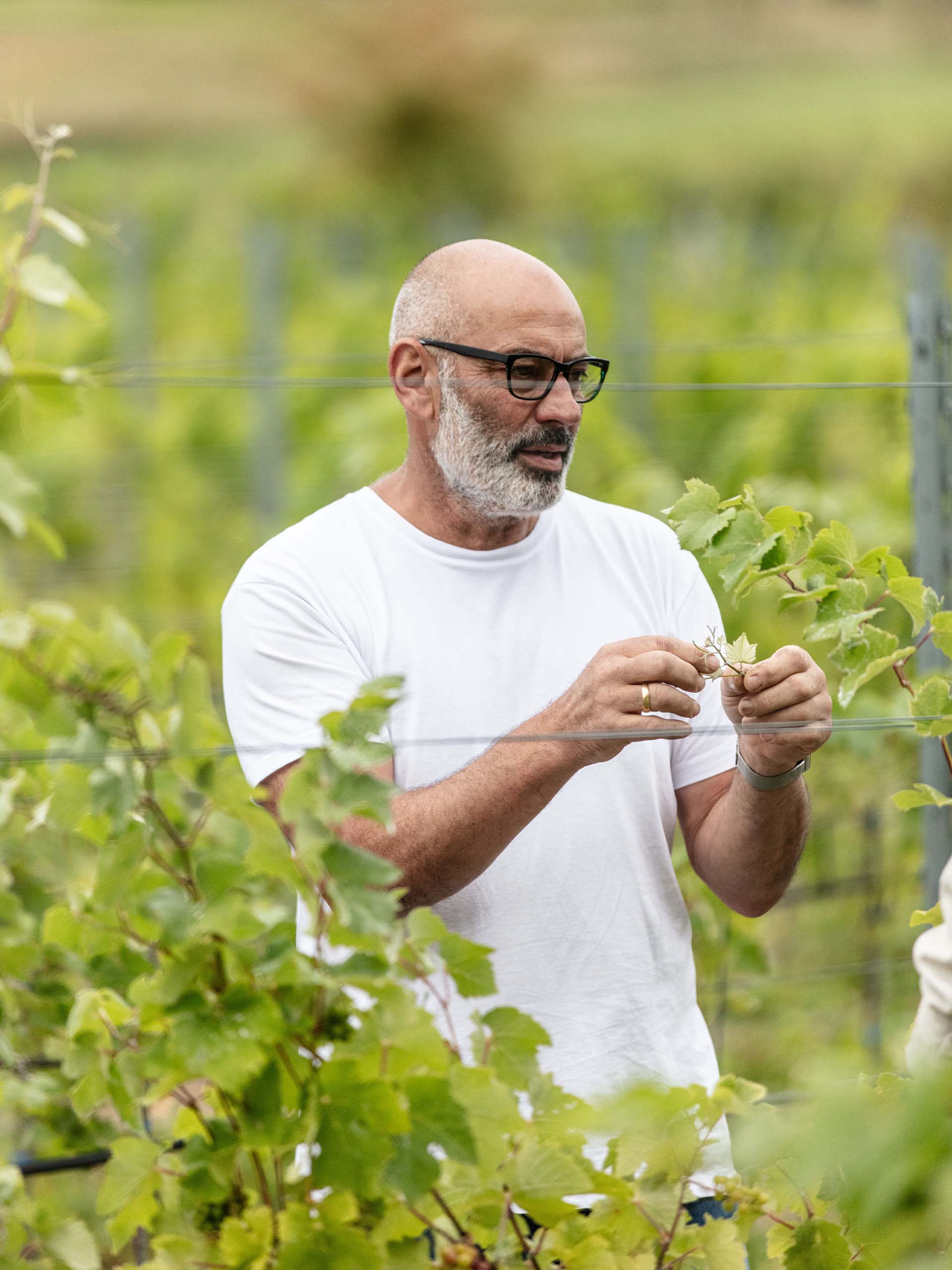 bcg-outing-2025-1920x2560_0021_NEW_desat_FINAL_HIRES_JPEGS_Monkfish@SchlossFleesensee_BCG_REEDITED-116