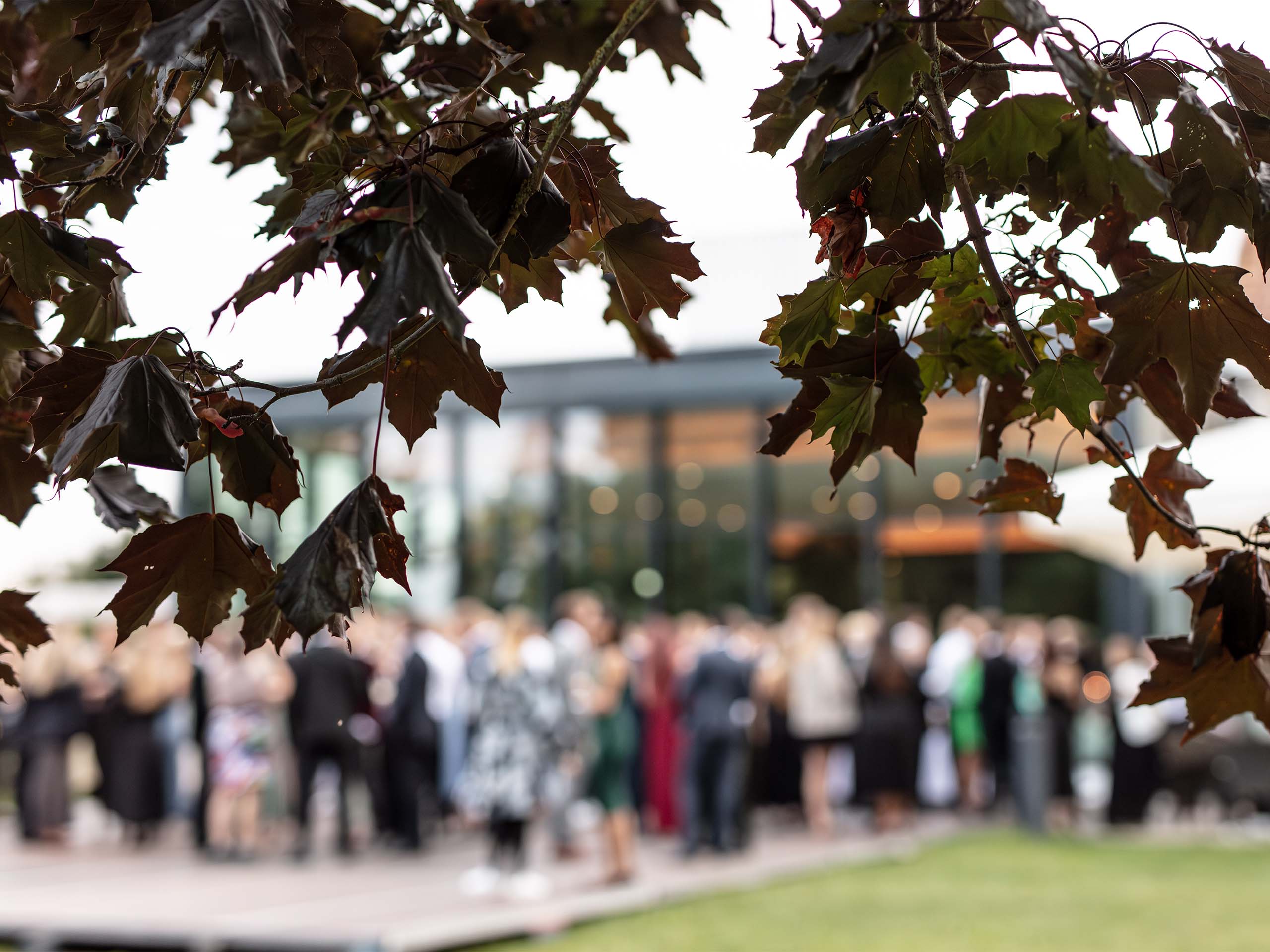 bcg-outing-2025-2560x1920_0000_NEW_desat_FINAL_HIRES_JPEGS_Monkfish@SchlossFleesensee_BCG_REEDITED-220