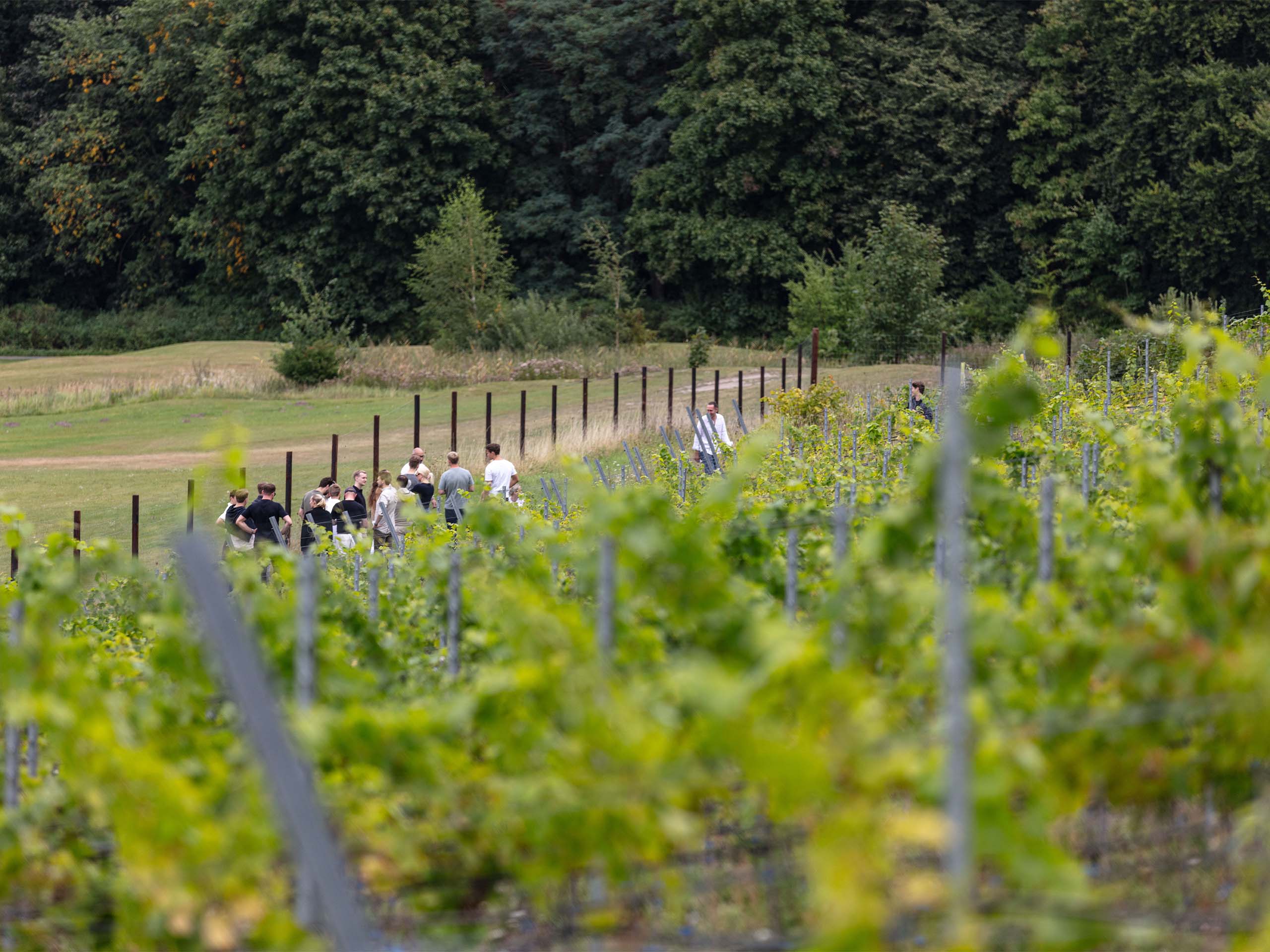 bcg-outing-2025-2560x1920_0015_NEW_desat_FINAL_HIRES_JPEGS_Monkfish@SchlossFleesensee_BCG_REEDITED-129