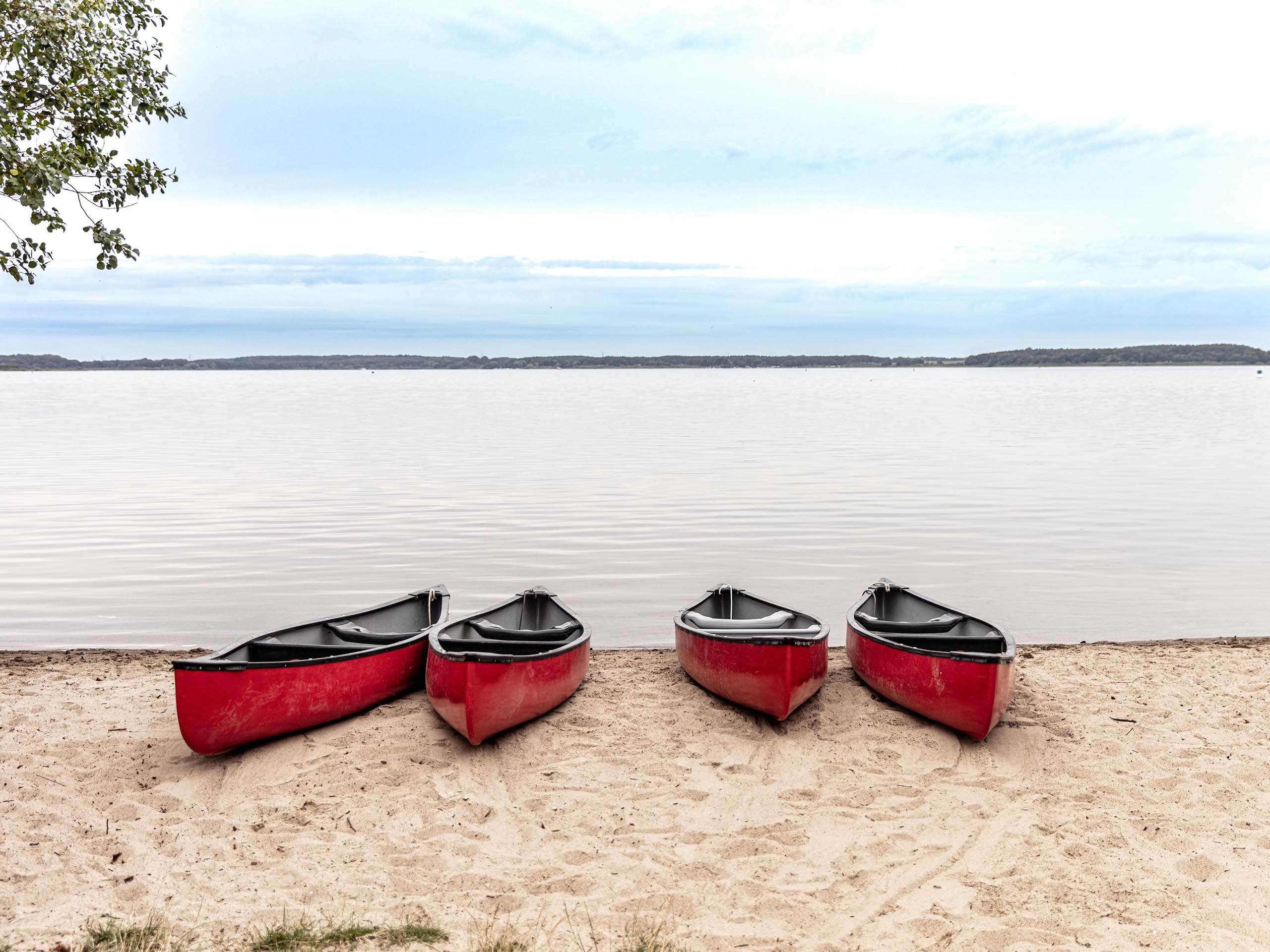 bcg-outing-2025-2560x1920_0019_NEW_desat_FINAL_HIRES_JPEGS_Monkfish@SchlossFleesensee_BCG_REEDITED-86