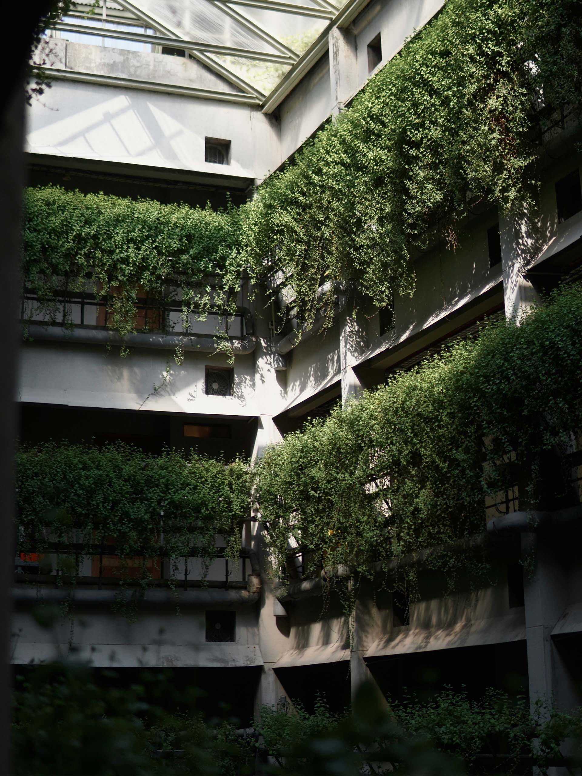 monkfish-sustainability_0001_chunifa-luthfi-aulia-kILtNxcLwzU-unsplash monkfish-sustainability_0001_chunifa-luthfi-aulia-kILtNxcLwzU-unsplash