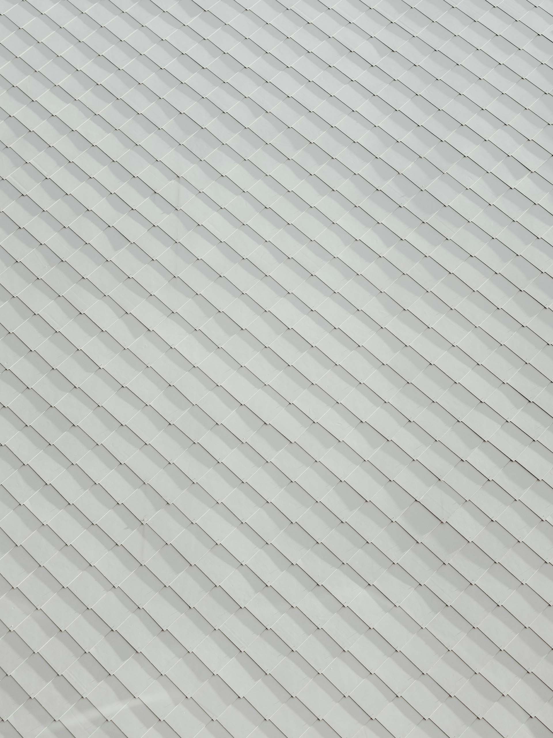 monkfish-textures_0000_bernard-hermant-wGYyOGDFfMI-unsplash