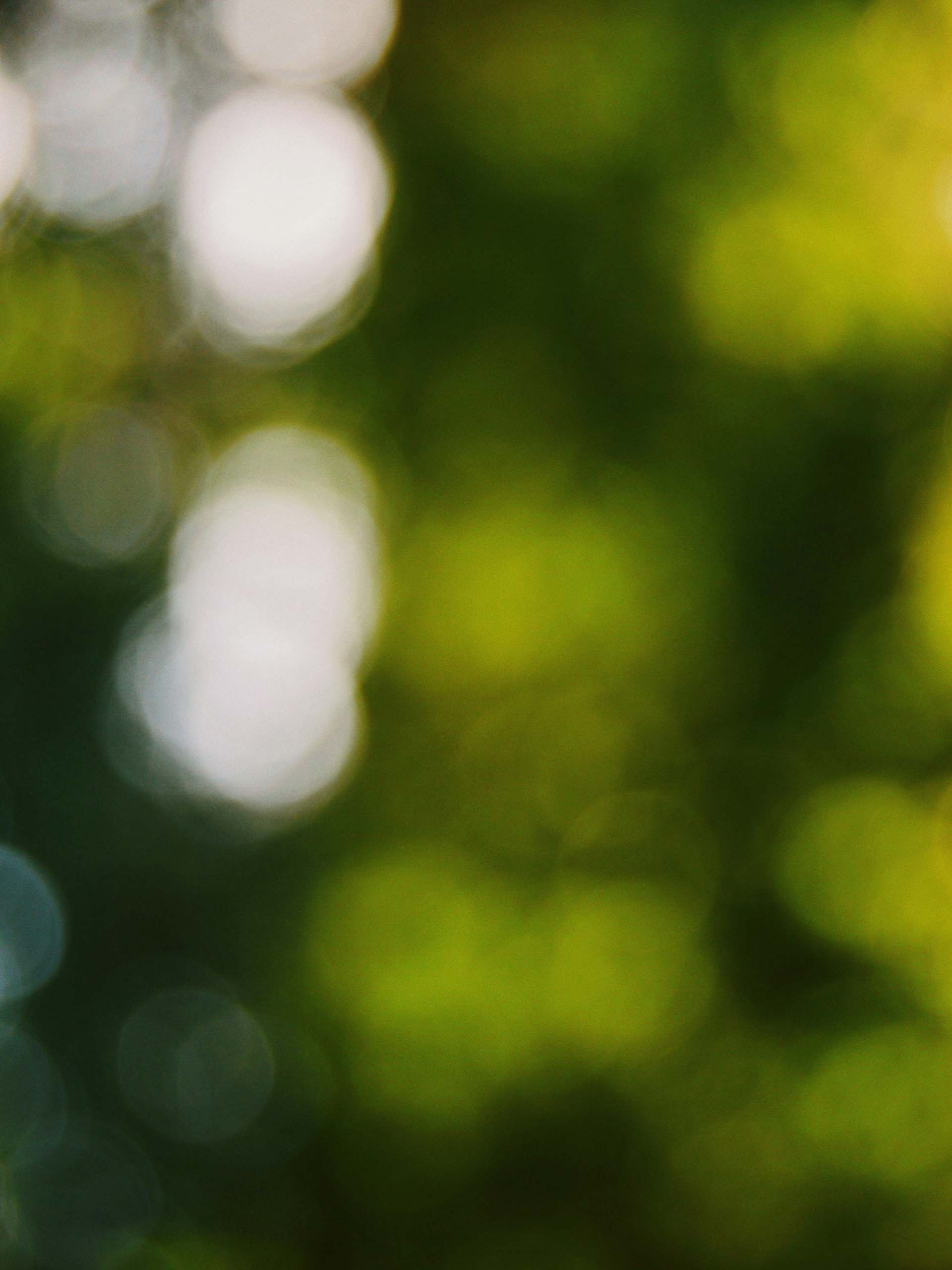 monkfish-textures_0008_niconor-brown-qsSy-nro2rc-unsplash