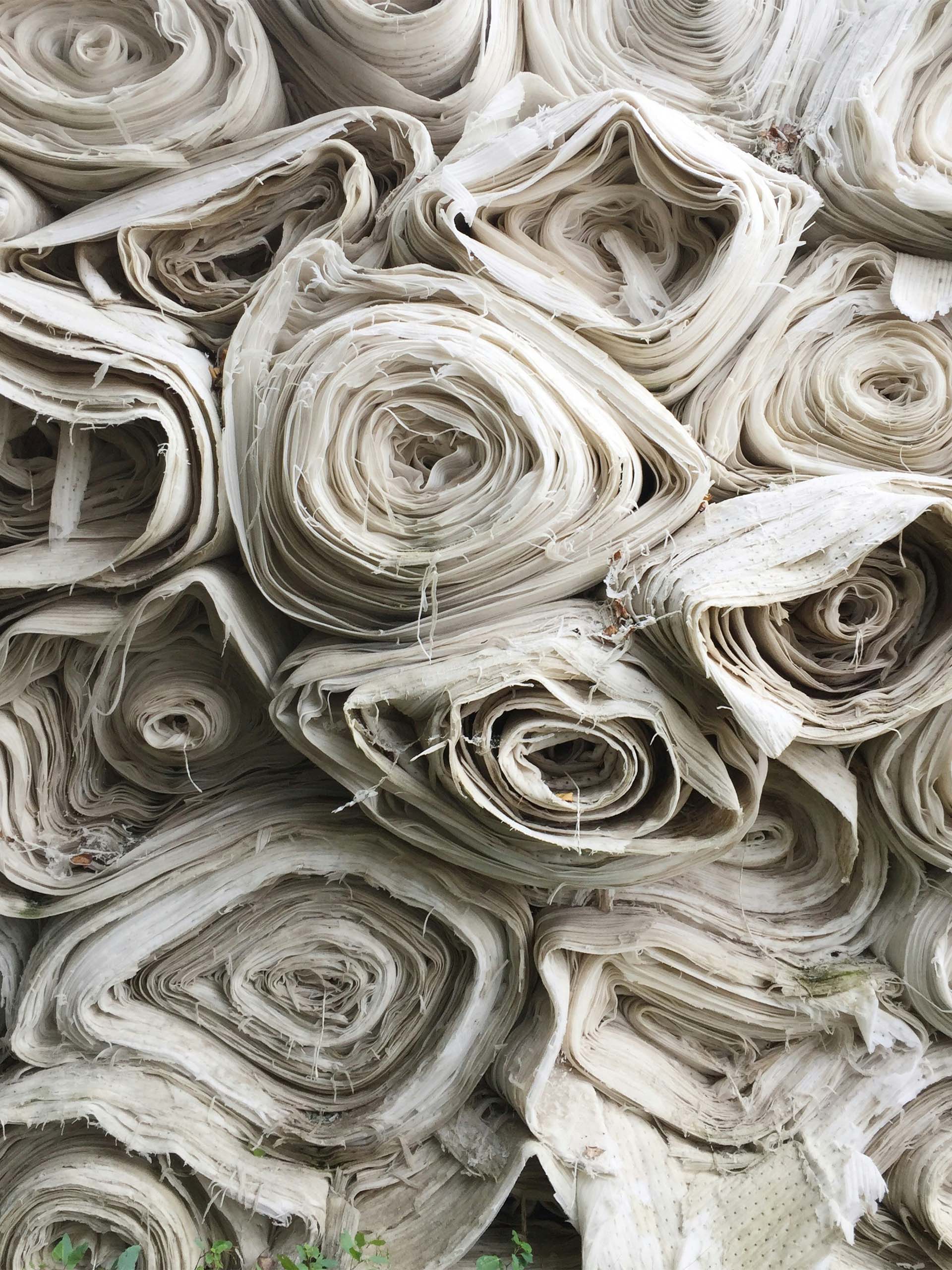 monkfish-textures_0017_ethan-bodnar-kgC99X3WH1w-unsplash