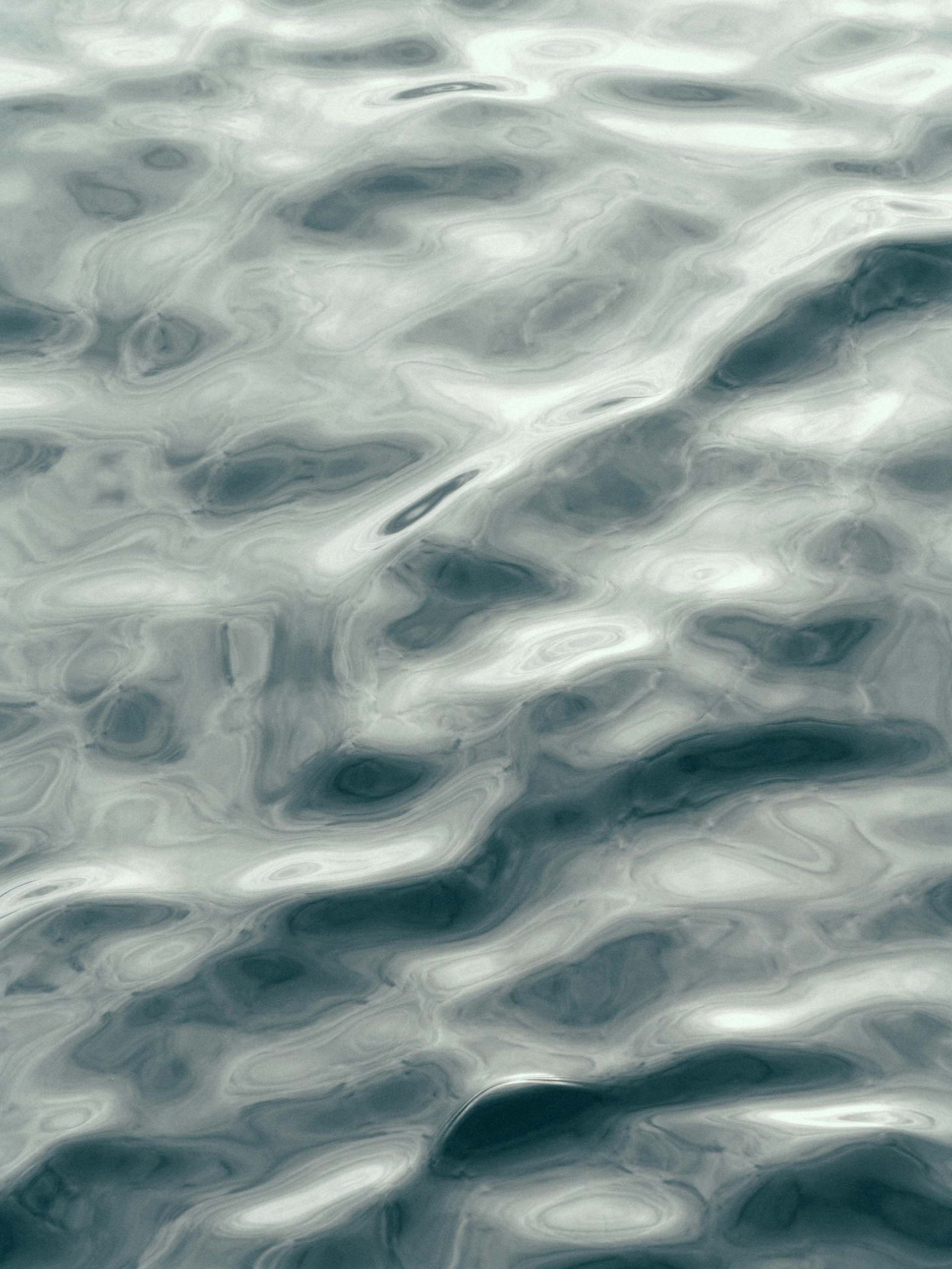 monkfish-textures_0021_andreas-rasmussen-kfW40IIzfmY-unsplash