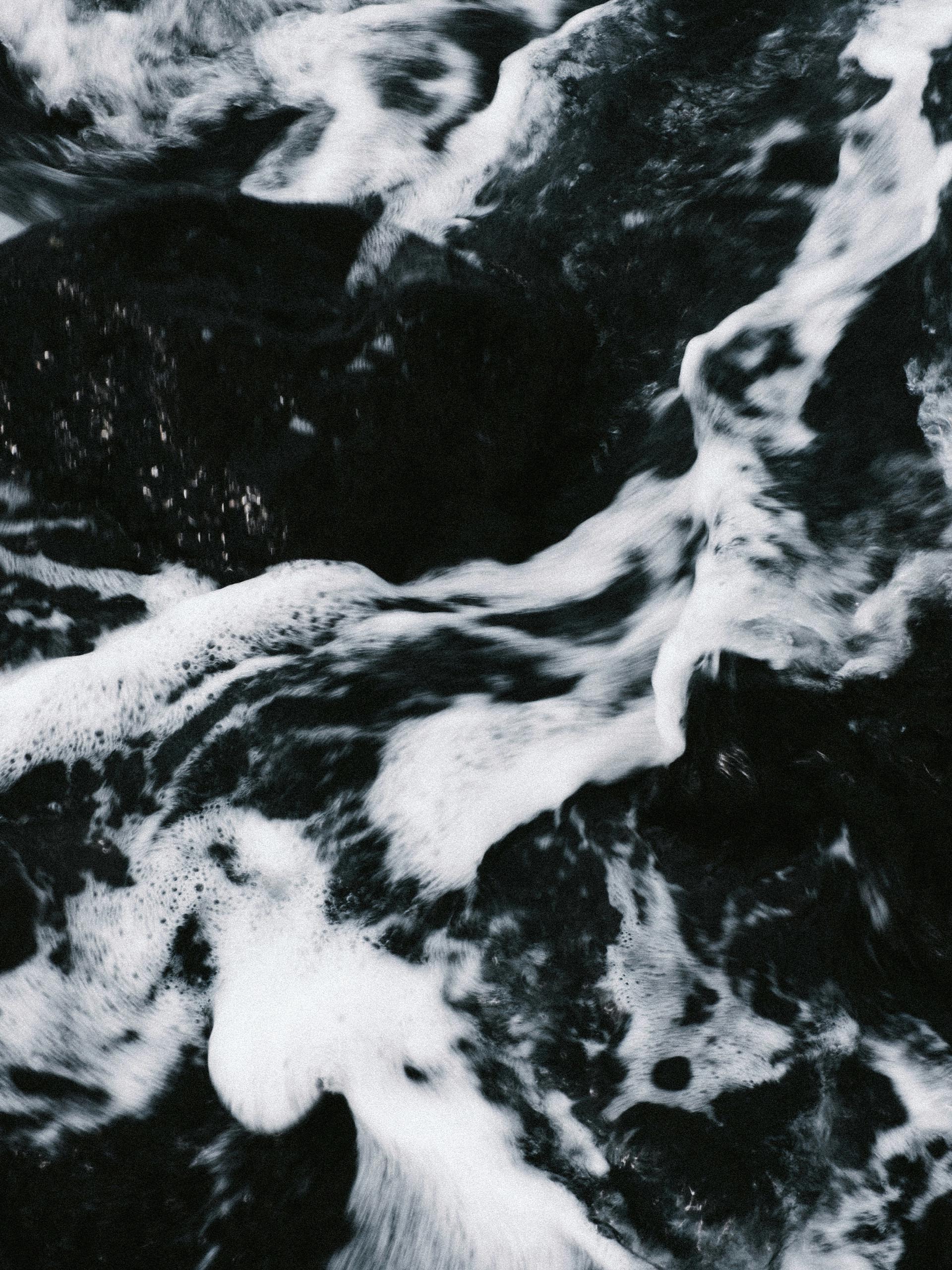 monkfish_0003_mathias-reding-GMetgmGiWWA-unsplash monkfish_0003_mathias-reding-GMetgmGiWWA-unsplash