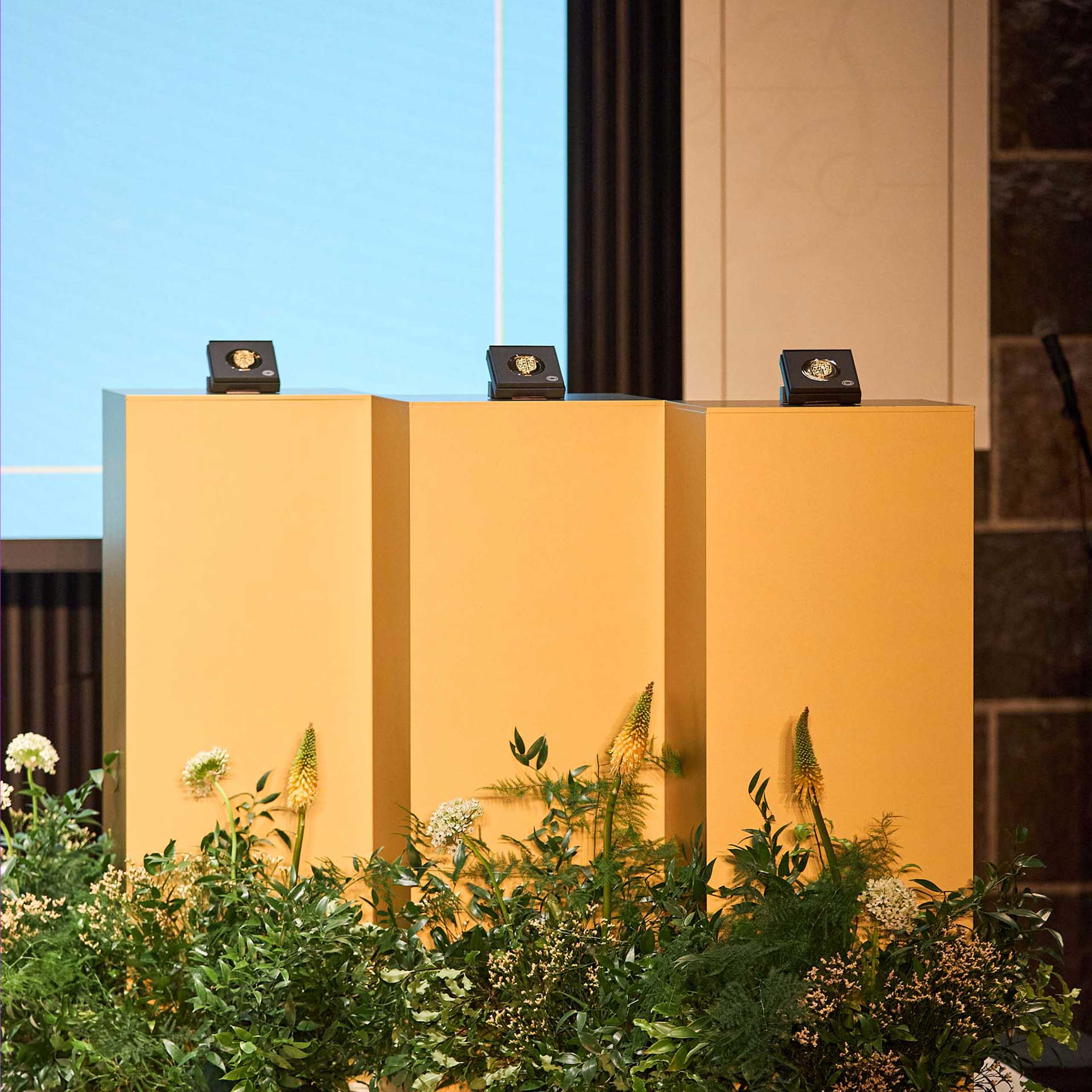 the-brain-price-2024